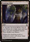 Product image for Evolving Wilds