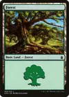 Product image for Forest