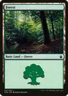 Product image for Forest