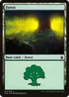 Product image for Forest