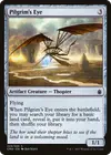 Product image for Pilgrim's Eye