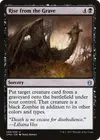 Product image for Rise from the Grave