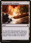 Product image for Terramorphic Expanse