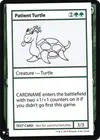 Product image for Patient Turtle