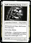 Product image for Ruff, Underdog Champ
