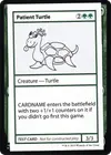 Product image for Patient Turtle