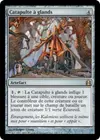 Product image for Catapulte à glands