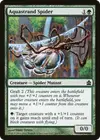 Product image for Aquastrand Spider