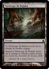 Product image for Marécage de Bojuka