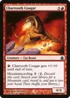 Product image for Chartooth Cougar
