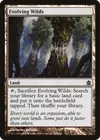 Product image for Evolving Wilds