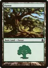 Product image for Forest
