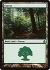 Product image for Forest