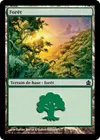 Product image for Forêt