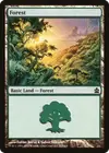 Product image for Forest