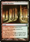 Product image for Fungal Reaches