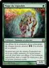 Product image for Mage du vignoble