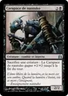 Product image for Carapace de nantuko