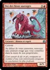 Product image for Oni des lieux sauvages
