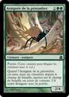 Product image for Araignée de la pénombre