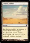 Product image for Steppes retirées