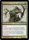 Product image for Crânebruyère, la Tombe ambulante