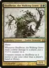 Product image for Skullbriar, the Walking Grave