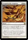 Product image for Troupeau des tempêtes