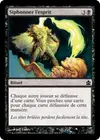 Product image for Siphonner l'esprit