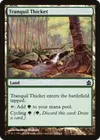 Product image for Tranquil Thicket