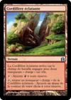 Product image for Cordillère éclatante