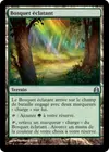 Product image for Bosquet éclatant