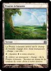 Product image for Prairie éclatante