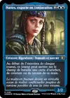 Product image for Nattes, experte en conjuration