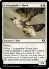 Product image for Cartographer's Hawk