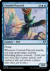 Product image for Coveted Peacock