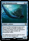 Product image for Raie bioluminescente