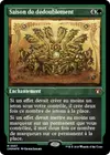 Product image for Saison de dédoublement