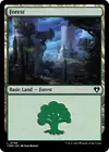 Product image for Forest