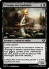 Product image for Tritonne des fondrières