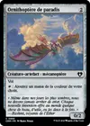 Product image for Ornithoptère de paradis