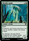 Product image for Slivoïde rapide