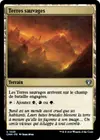 Product image for Terres sauvages