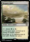 Product image for Bosquets épars