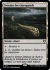 Product image for Terrains des charognards