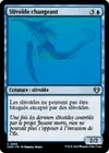 Product image for Slivoïde changeant