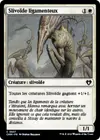 Product image for Slivoïde ligamenteux