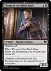 Product image for Thorn of the Black Rose