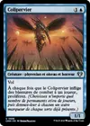 Product image for Colipervier