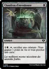 Product image for Chaudron d'envoûteuse